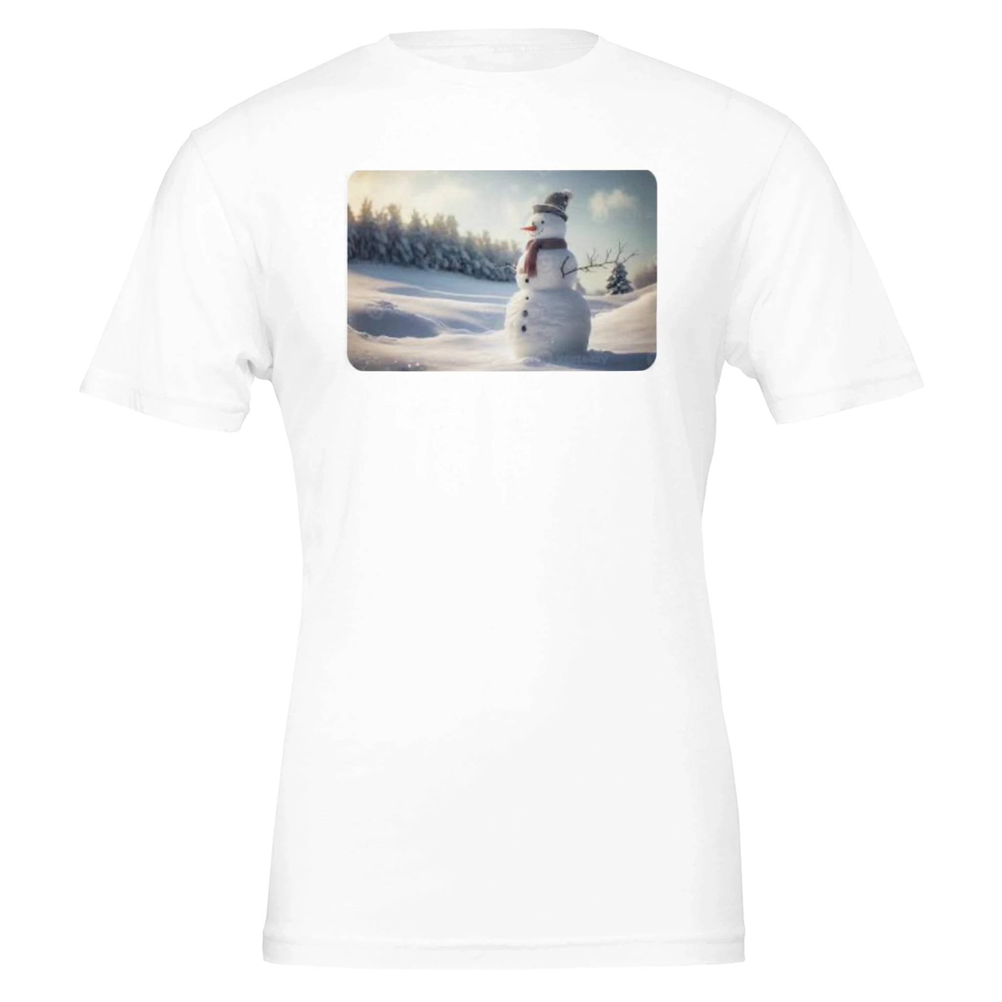 Premium Unisex Crewneck T-shirt | Bella + Canvas 3001 White